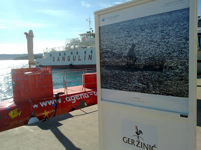 Biograd