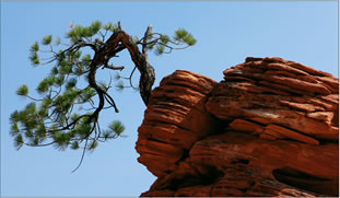 Arizona, Juny 2008