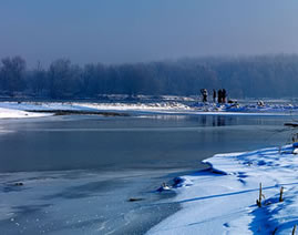 Foto Ars Danubia